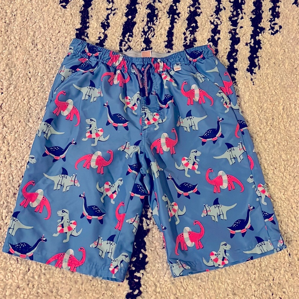 Dinosaur Swim Trunks